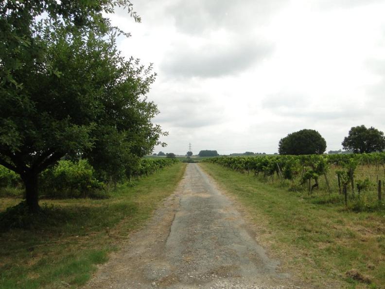 Chateau Monichot Organic Vineyard Tauriac  Zewnętrze zdjęcie