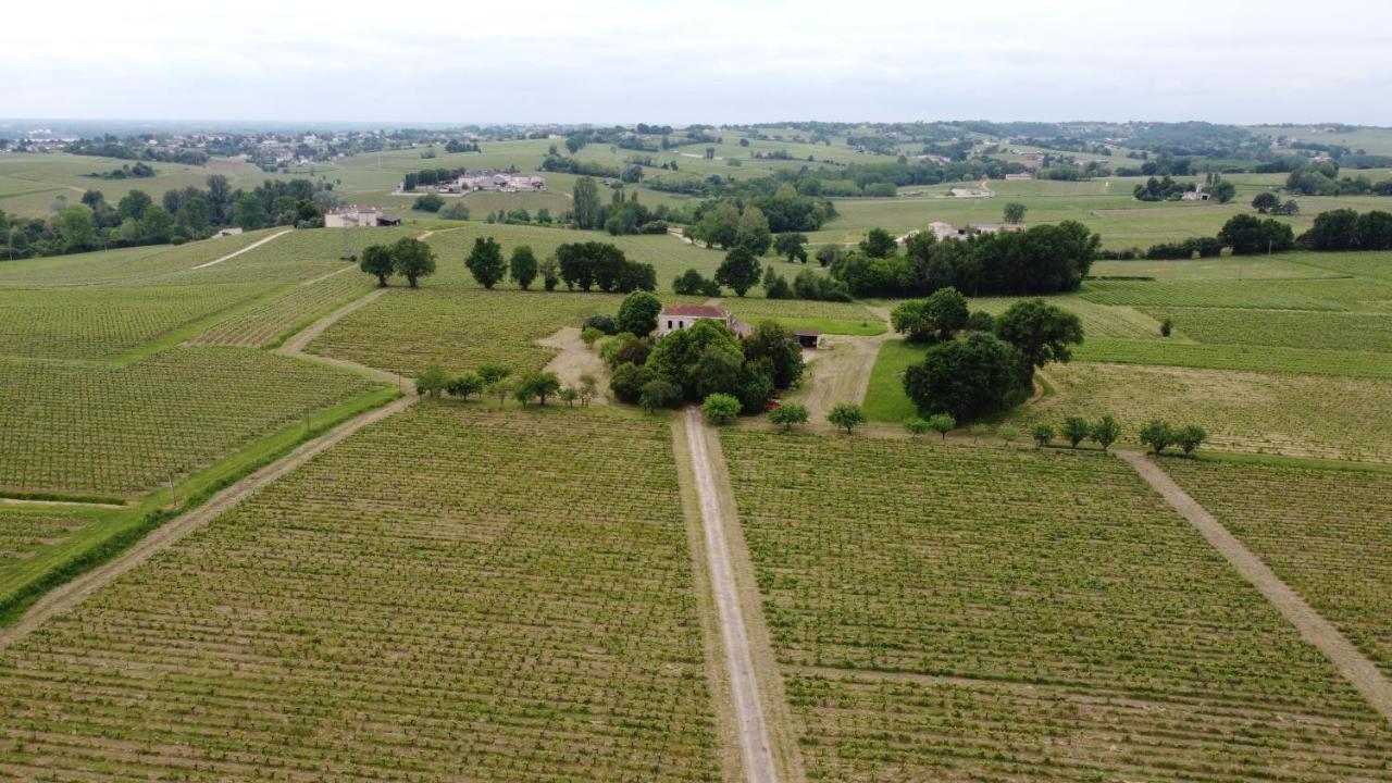 Chateau Monichot Organic Vineyard Tauriac  Zewnętrze zdjęcie